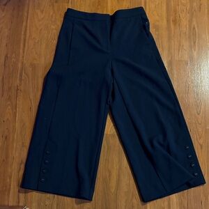 Ann Taylor Navy Wide-Leg Women's Pants